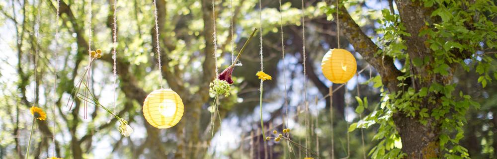 Image hover effect image