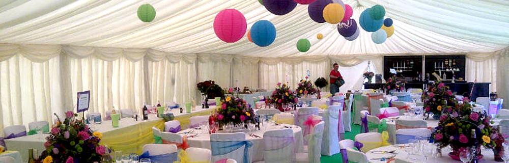 Image hover effect image