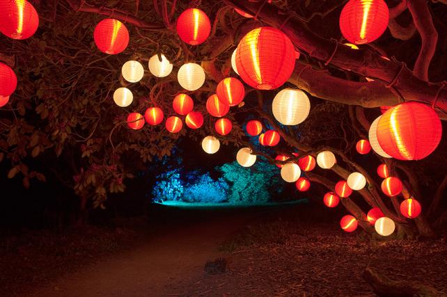 Image hover effect image