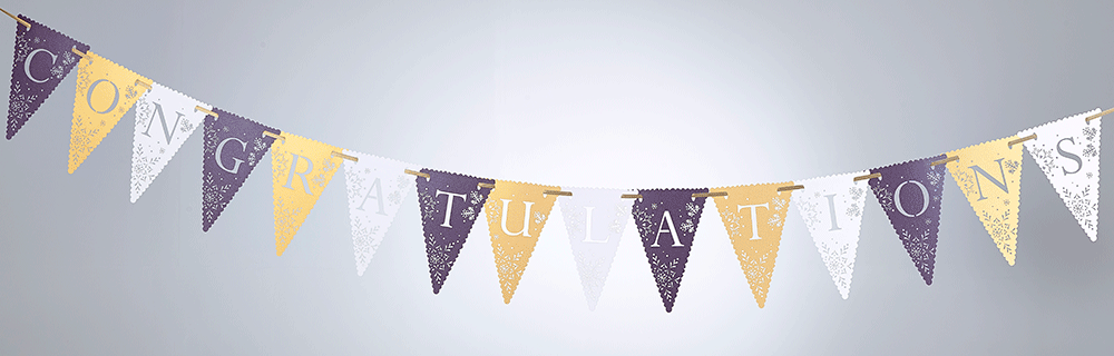 Image hover effect image