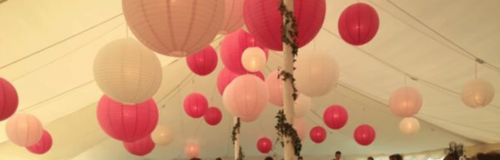 Image hover effect image