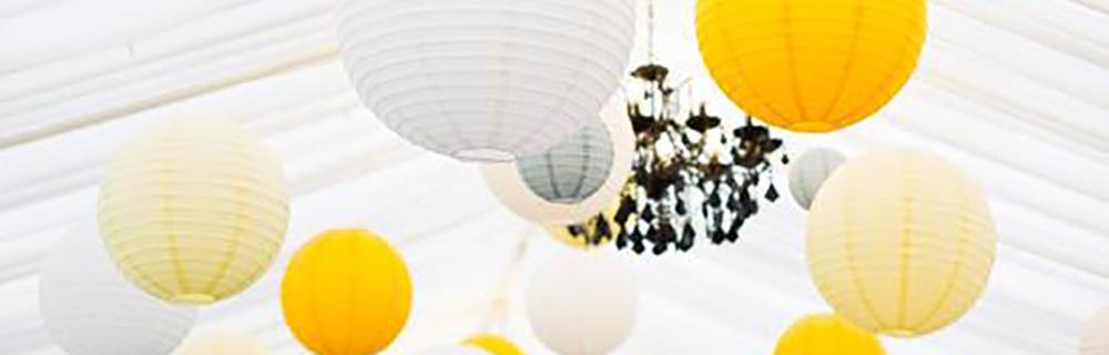 Image hover effect image