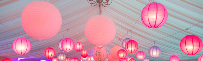 Image hover effect image