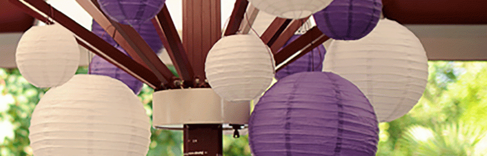 Image hover effect image